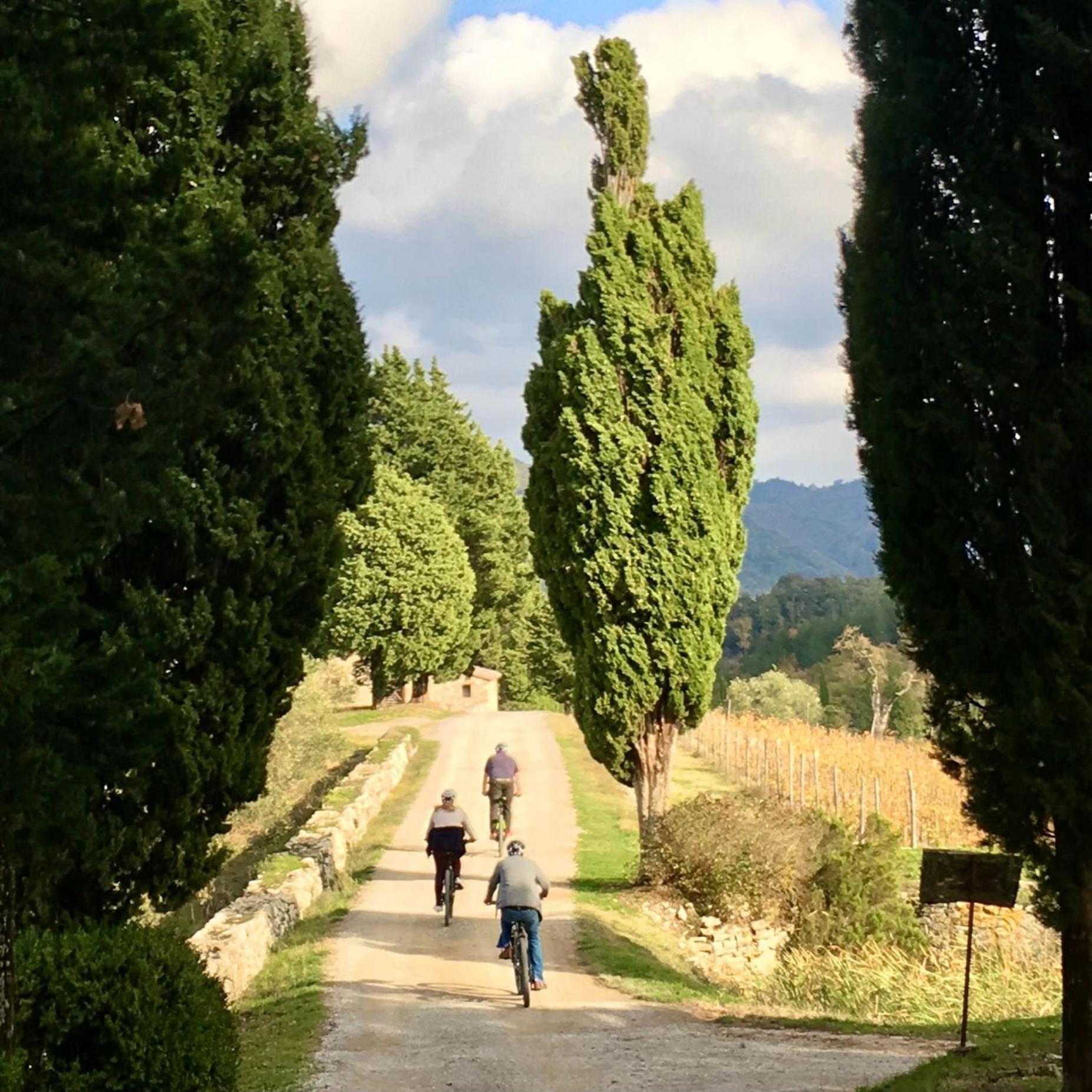 Capannelle Wine Resort Gaiole in Chianti Exterior foto